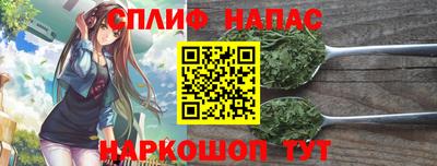 прущие грибы Рузаевка