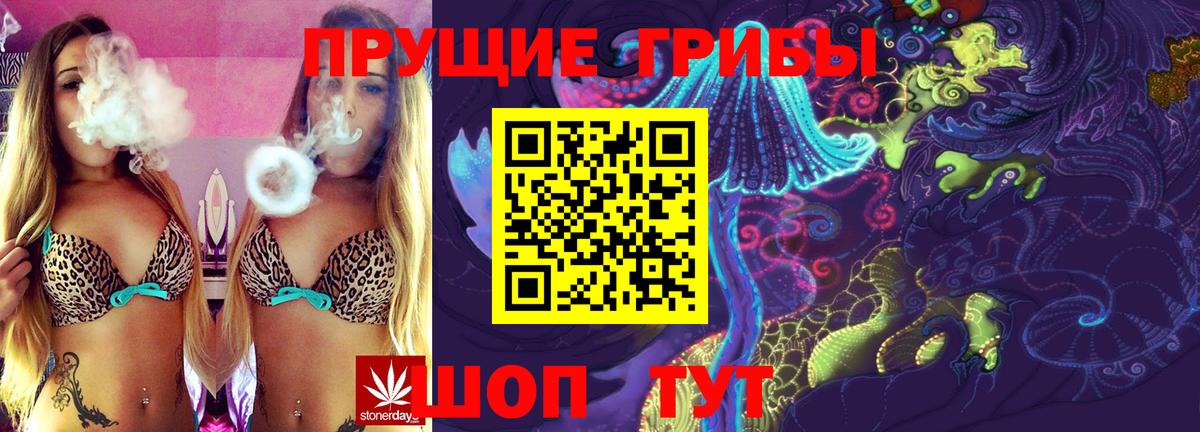 цена   Псилоцибиновые грибы MAGIC MUSHROOMS  Вход с VPN  Сальск 