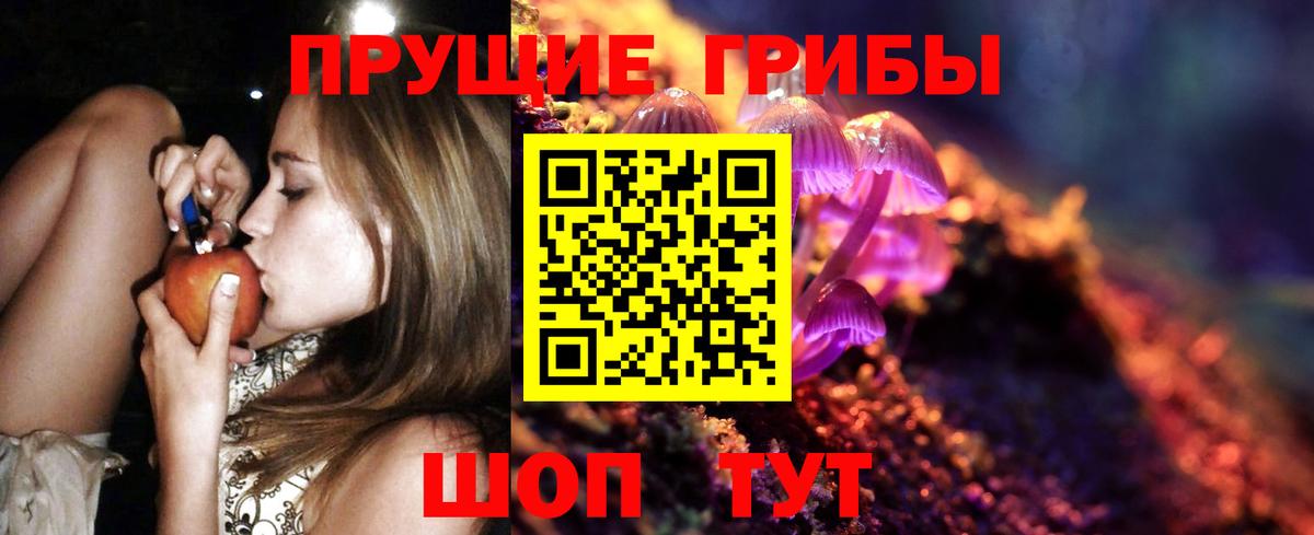 Псилоцибиновые грибы ЛСД Сальск